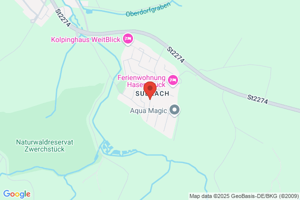 V-Reinigung