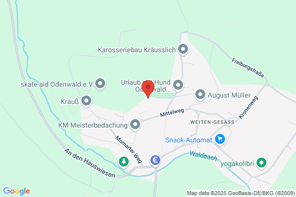 IWS Industrievertretung