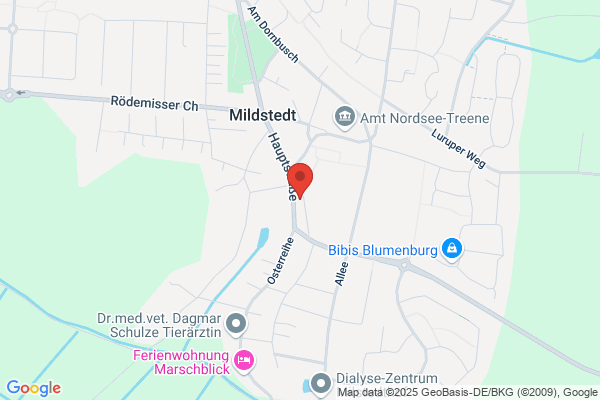 Amplifon Hörgeräte Mildstedt, Mildstedt