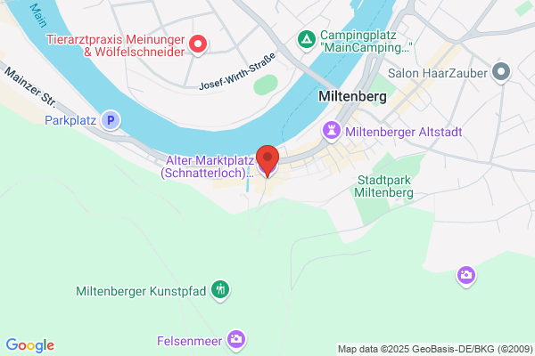 Bote vom Unter-Main