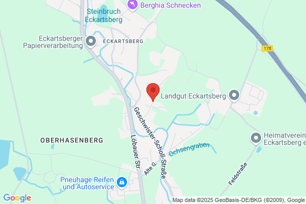 Schauer