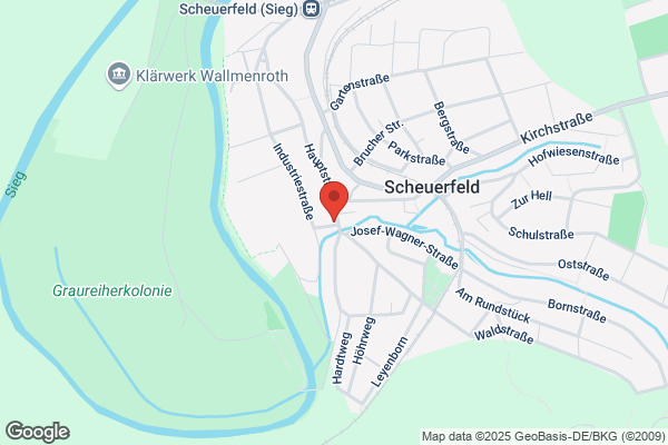 Schnitzler