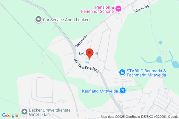 Kerstin Auras