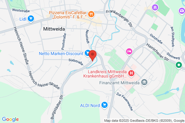 WESM Elektronik Service Mittweida GmbH