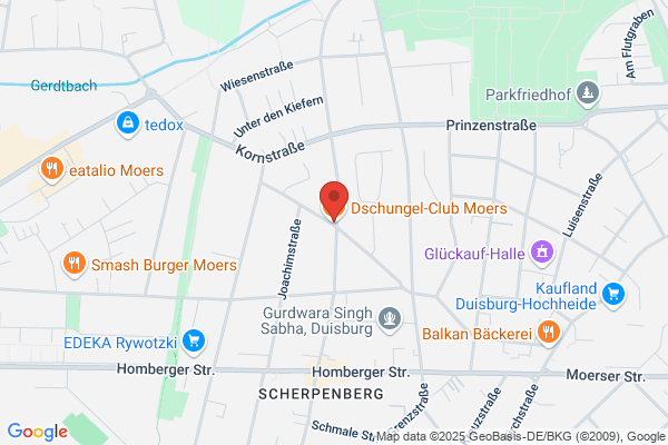 Dschungel