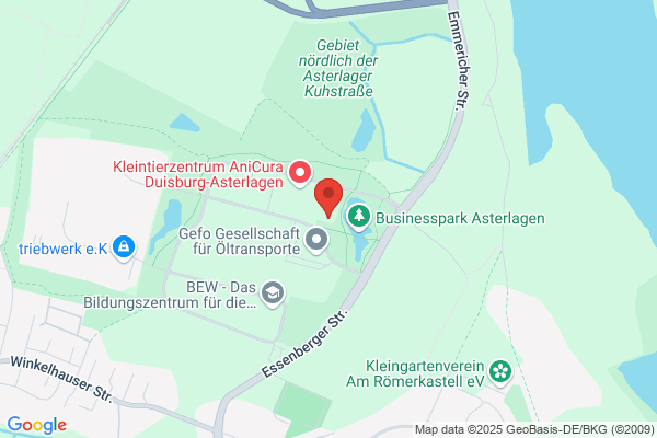 Steuerberatung Schein