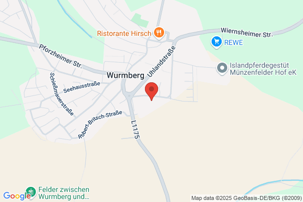 Wiedmann-Service