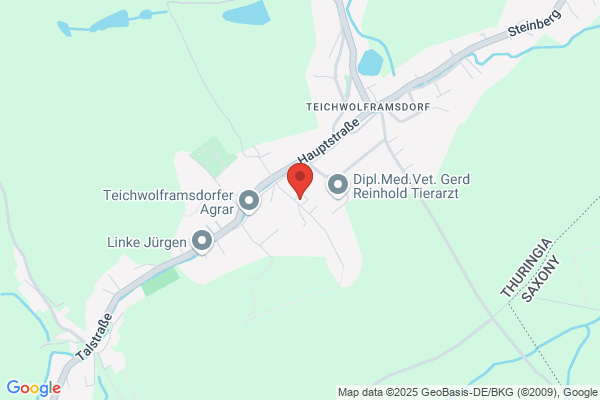 Elekto Unger Unger Steffen