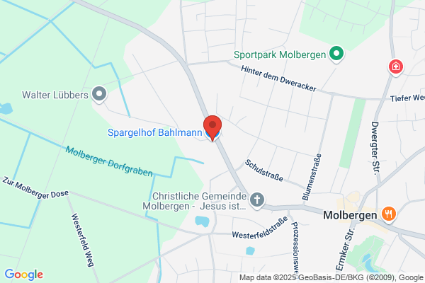 Bahlmann