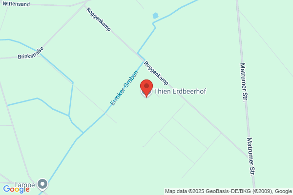 Thien, Heinrich