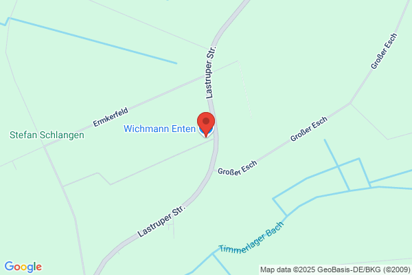 Wichmann Enten GmbH