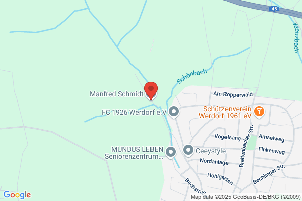 Manfred Schmidt