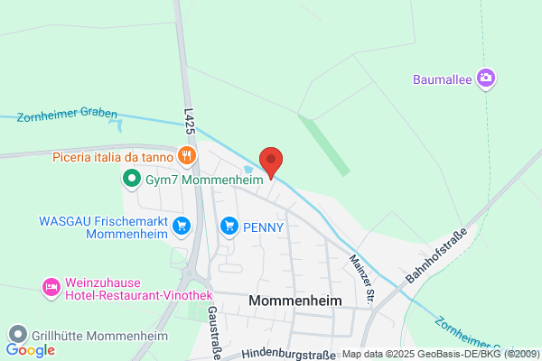 Selztal Immobilien Service H. Zolle