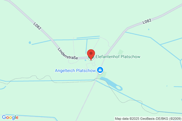Elephant Services Inh. Constanze Blaschke