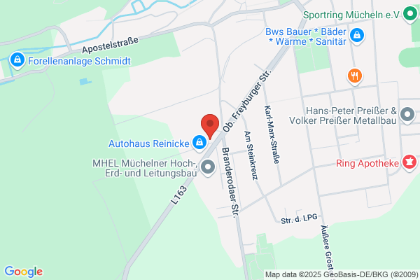 Reinicke Monika Luftfahrt u.Vercharterung