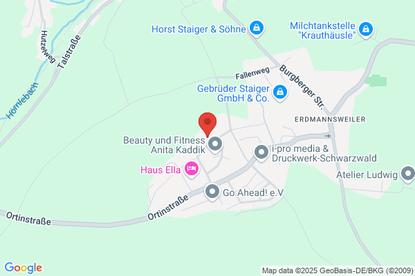 ACI Consult GmbH