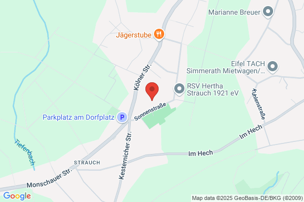 MS-Technik