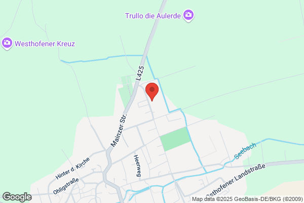 Multi-Media-Service GmbH