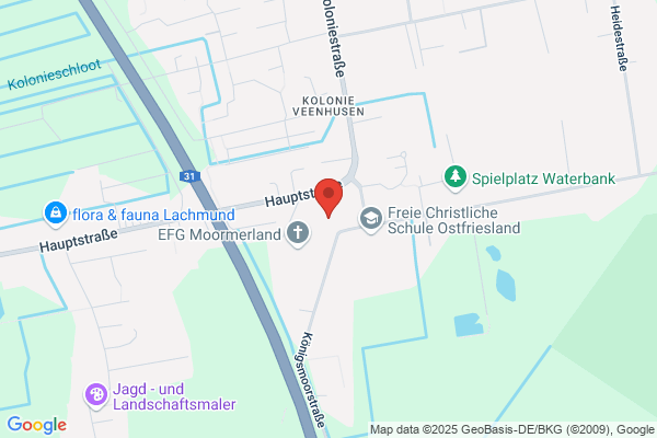 B & P Blumen und Pflanzen GmbH