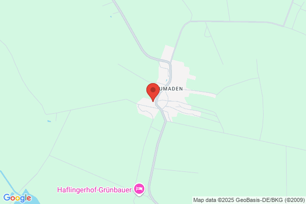 L. Geiger Gasthaus Bock