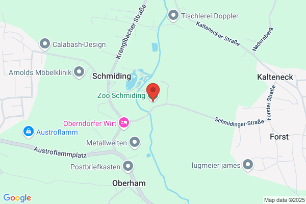 Zoo - Schmid
