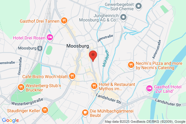 Moosburger Münstermusik - Prof. Stephan Zippe