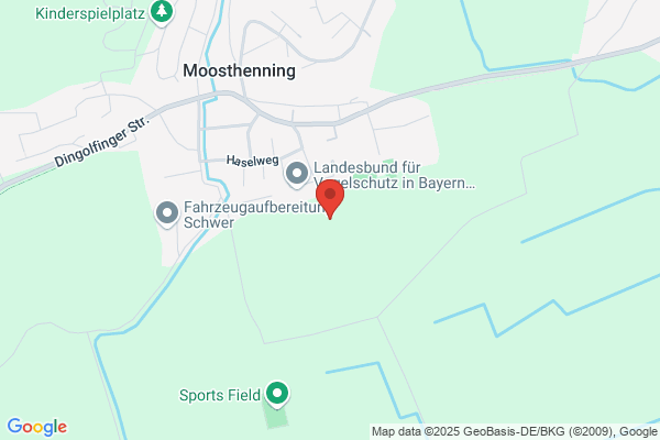 Kindermädchen,-Haushaltshilfe Agentur Münich