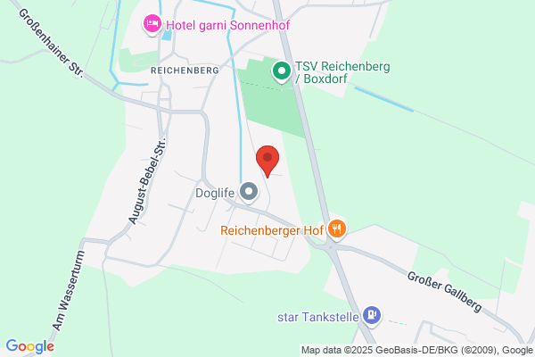 Pension 4 Pappeln Reinhard Leschig