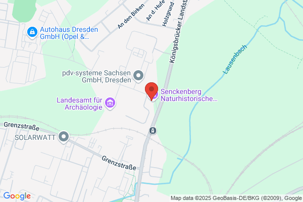 Senckenberg Naturhistorische Sammlungen Dresden