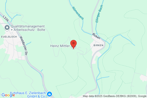 Heinz Mittler