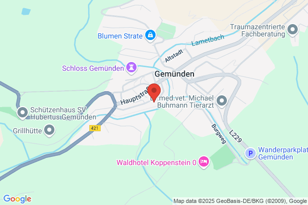 Ortsgemeinde Gemeindehaus