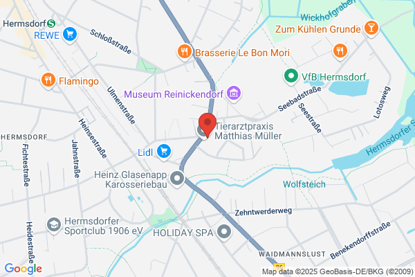 SchadEx GmbH