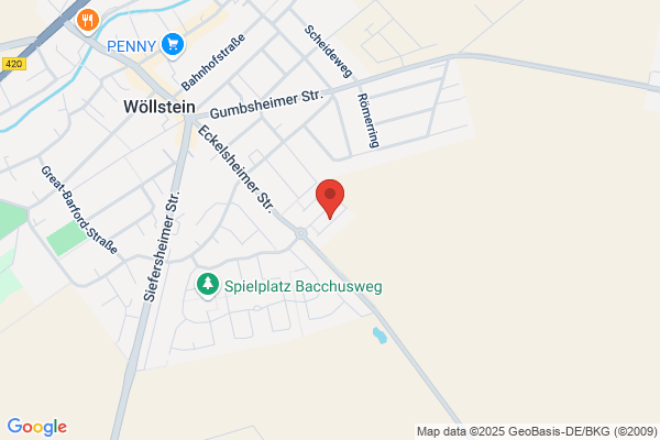 Wöllsteiner Kübeldienst