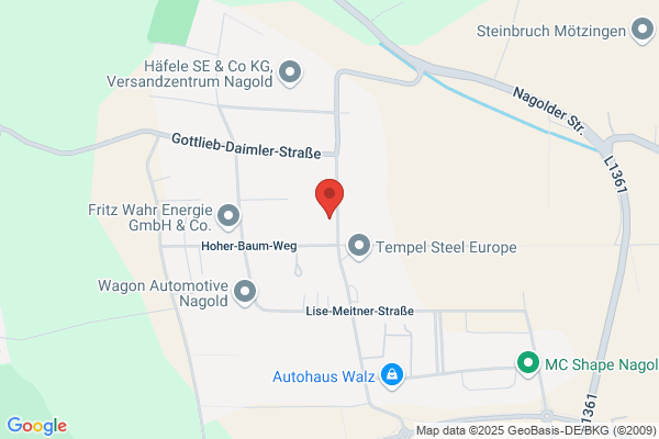 Gotthilf Dieterle Gesellschaft