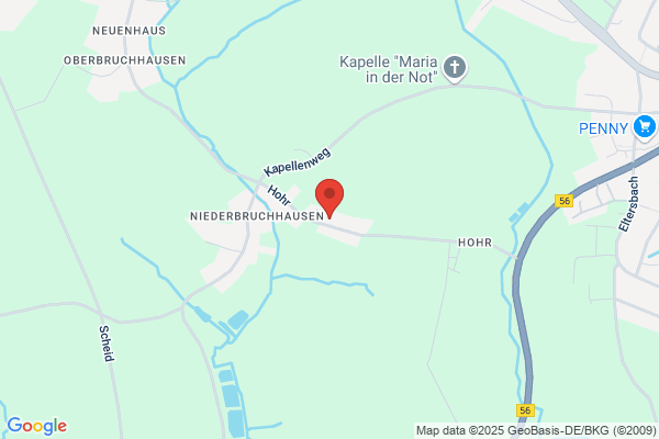 AVS-Service Schädlingsbekämpfungs-GmbH