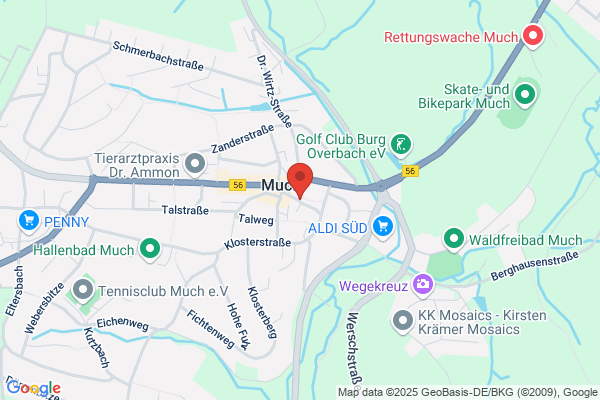 Diederichs und Kollegen ACC