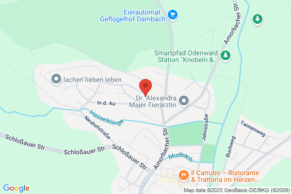 Alfa Vital Center Odenwald Sabine Benig
