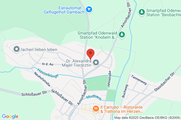 Josef Münster