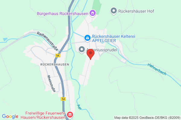 Besier Teppichpflege