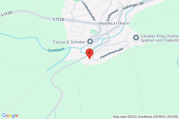 Bringmeier GmbH