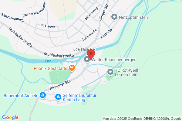 Friedhelm Langer