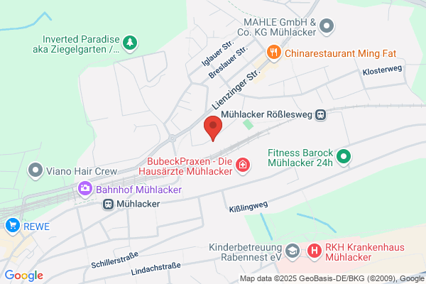Druckerei Schlecht Inh. O. Merz
