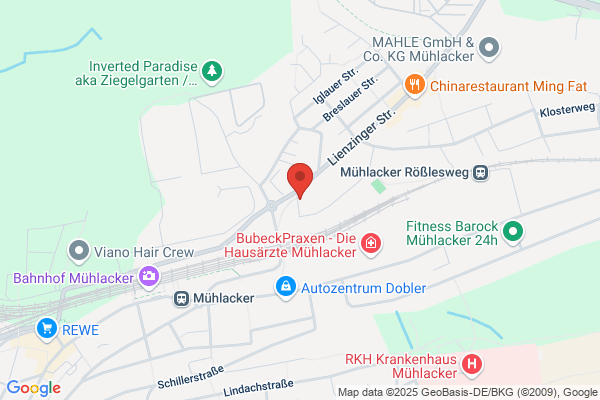 Gossweiler Schleifwerkzeuge GmbH