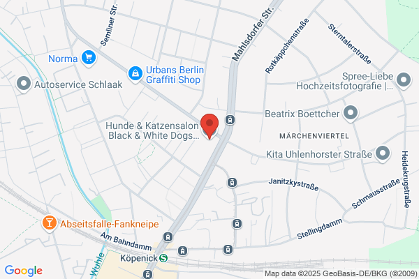 Hunde und Katzensalon