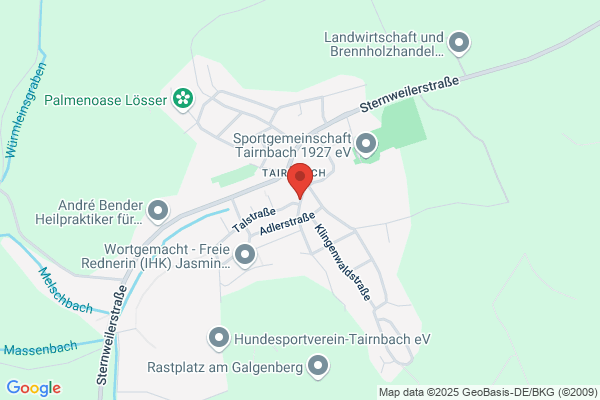Alt-Dielheim