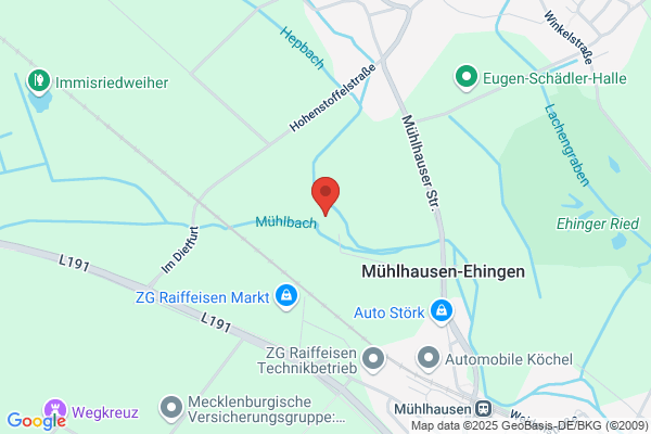 Haus am Mühlebach, Heimsonderschule