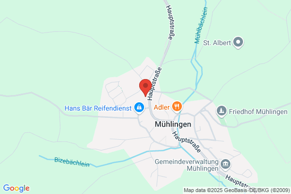 Meisterbetrieb Elektro Service Ross