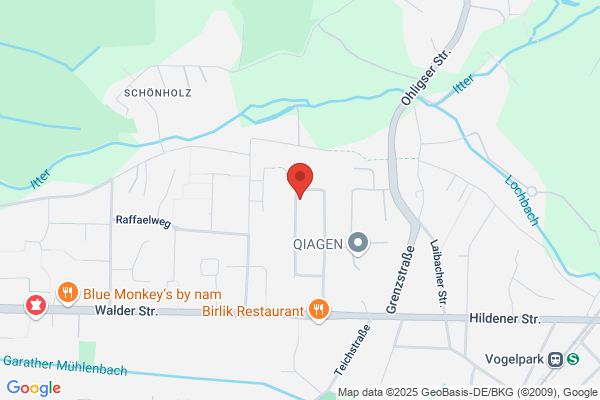 Wolfgang Lohr