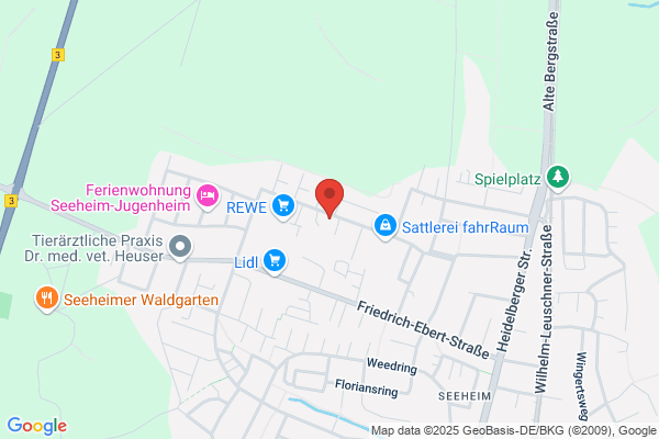 SV SparkassenVersicherung: Generalagentur Ali Schekebi