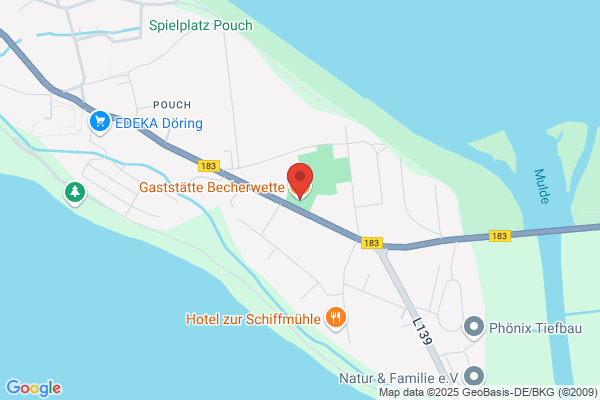 Wiecha D.